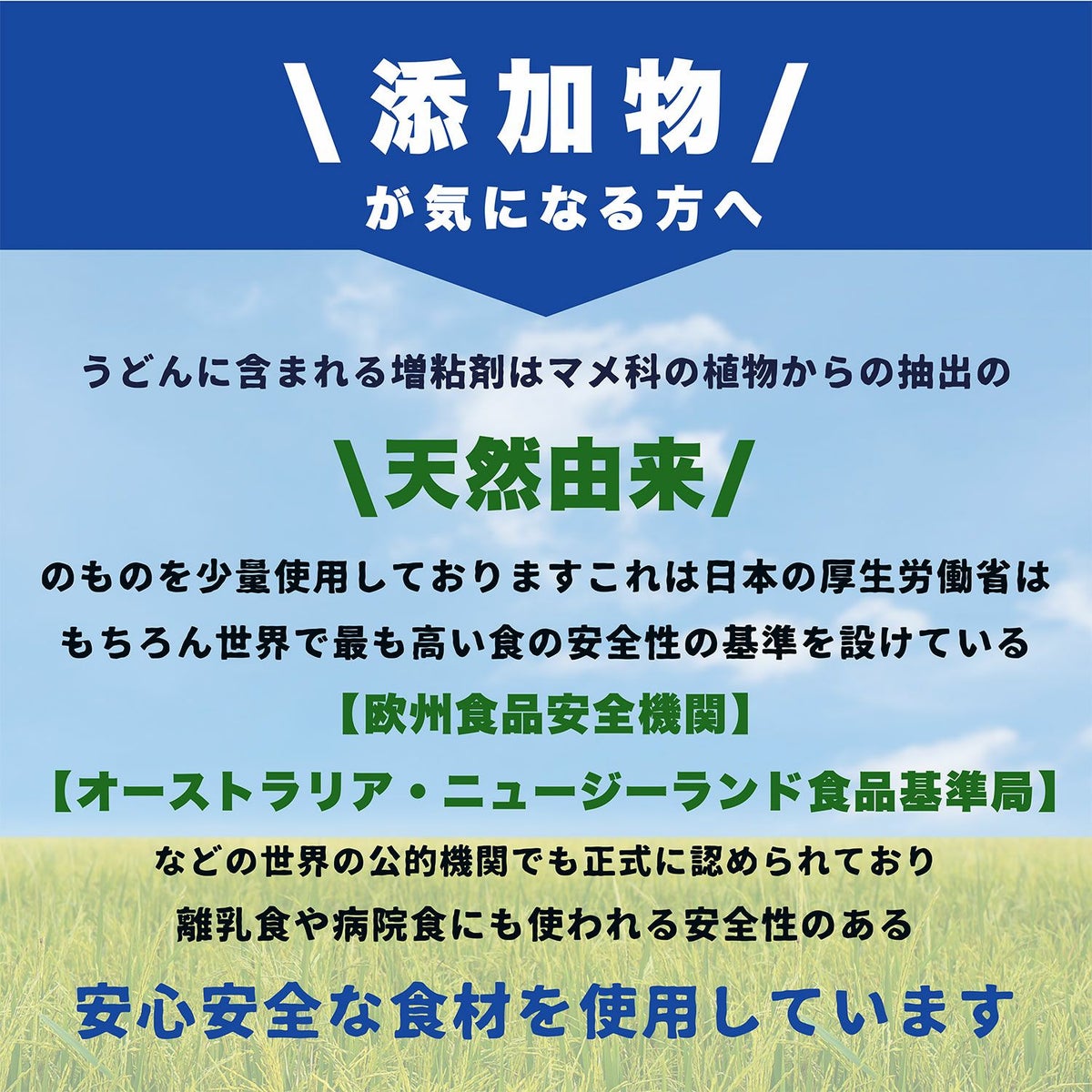 美味しいうどんの必須条件 多加水生麺『さぬきごえ』の麺は ブツブツ切れない・ひっつかない